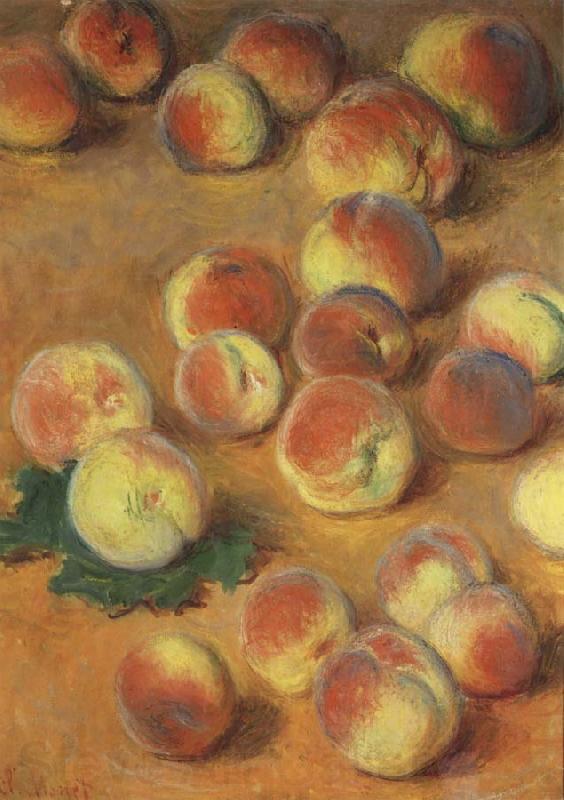 Claude Monet Peaches Spain oil painting art